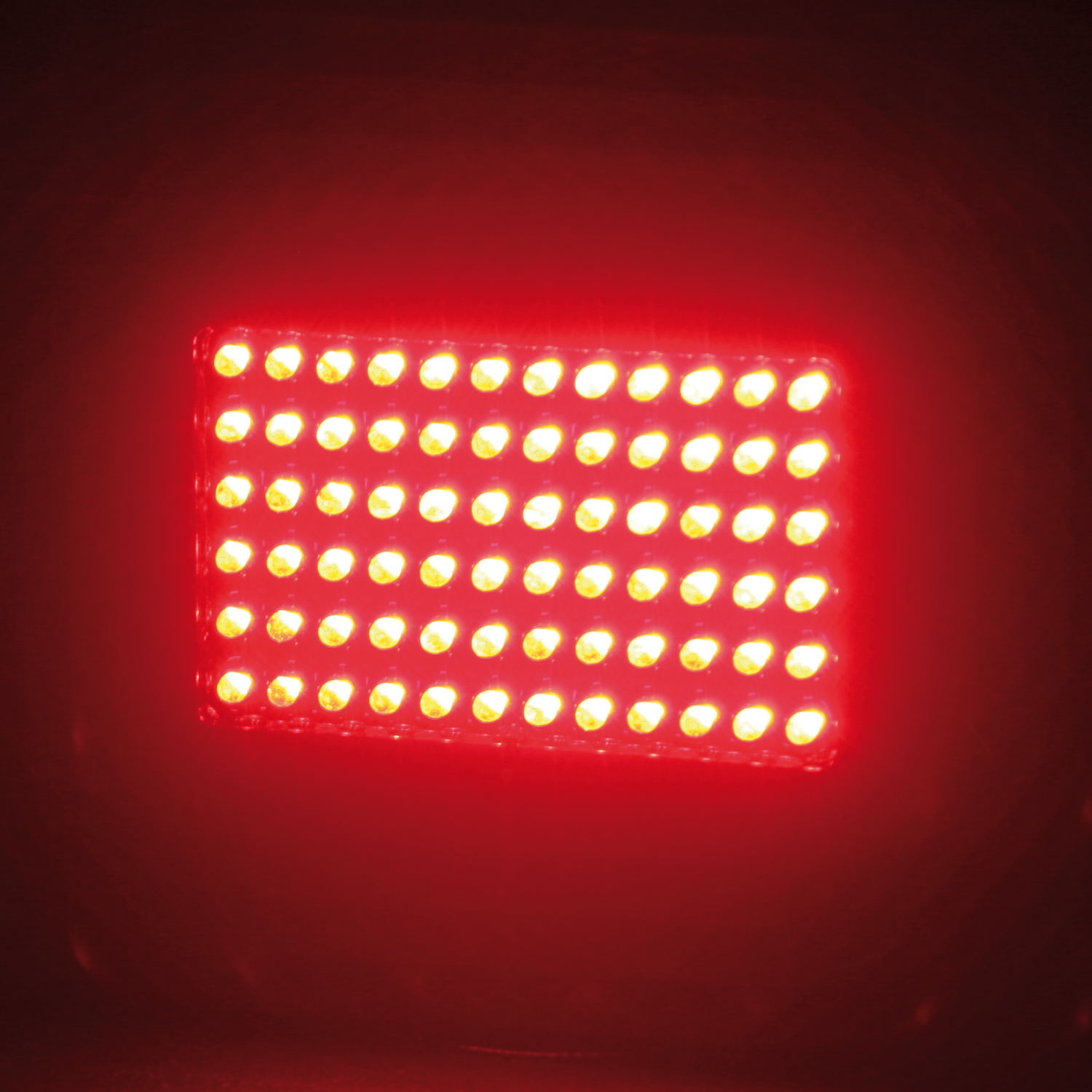 Sandtler LED Rückleuchte